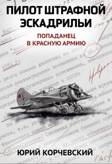 «Пилот штрафной эскадрильи» Валерий Атамашкин