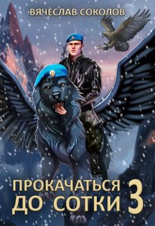 «Прокачаться до сотки 3» Вячеслав Соколов