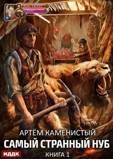 «Самый странный нуб. Книга 1» ИДДК